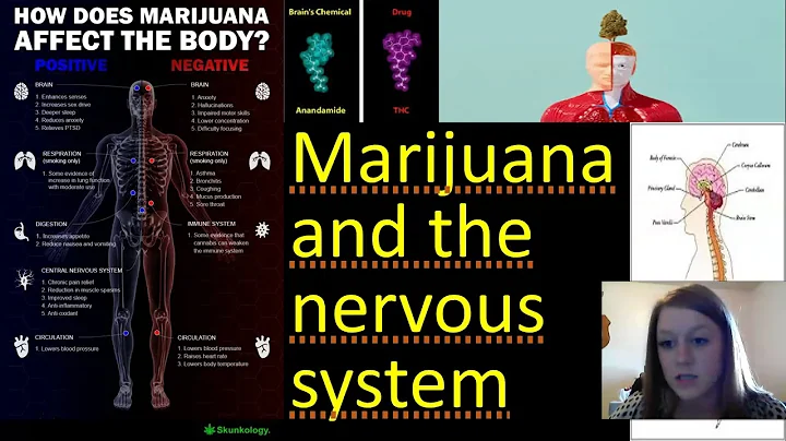 Philosophy Debate Spring 2020 Legalize Marijuana