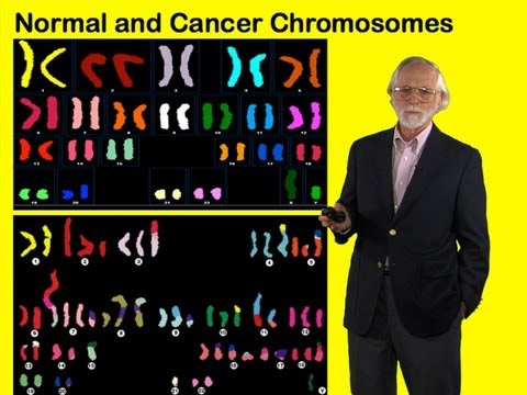 j.-michael-bishop-(ucsf)-part-1:-forging-a-genetic-paradigm-for-cancer