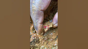 Red Diamond The Rarest Diamond In The World Shorts Short Diamond Reddiamond Gemstones Gems 