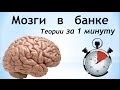 Мозги в банке - эволюция сверхчеловека | Теории за 1 минуту | BrainTime