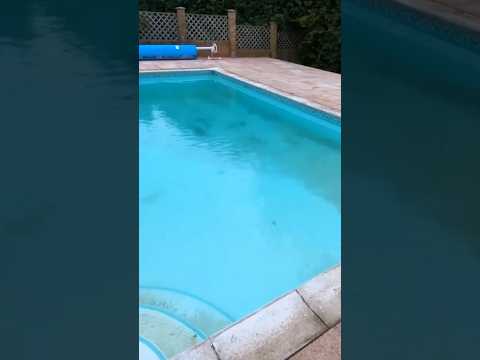 Video: Tipi e dispositivi della piscina. Regole per il funzionamento e la manutenzione della piscina