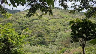Intag Valley Frugal Guide: The $33 Eco-Cabin & Hot Springs Strategy | Ecuador