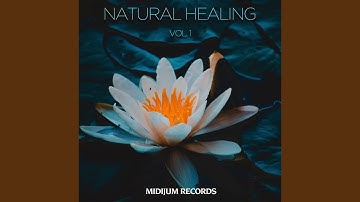 Return to the Source