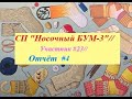 СП "Носочный бум -3"// Участник#23//Отчёт #4