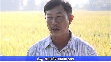 Sofit® 300EC  : Kinh Nghiệm Nông Dân Sử Dụng Sofit® 300EC _Video 3