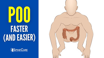 Exercises That Will Make You Instantly Poo