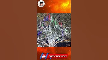 LED Meteor Shower Rain Lights Waterproof Falling Raindrop Fairy String Light for Christmas Holiday P