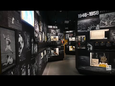 甲子園歴史館リニューアル　VRでドラフト指名　体験型展示拡充
