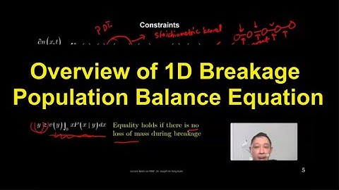 Overview of the 1D Pure Breakage Population Balance Equation