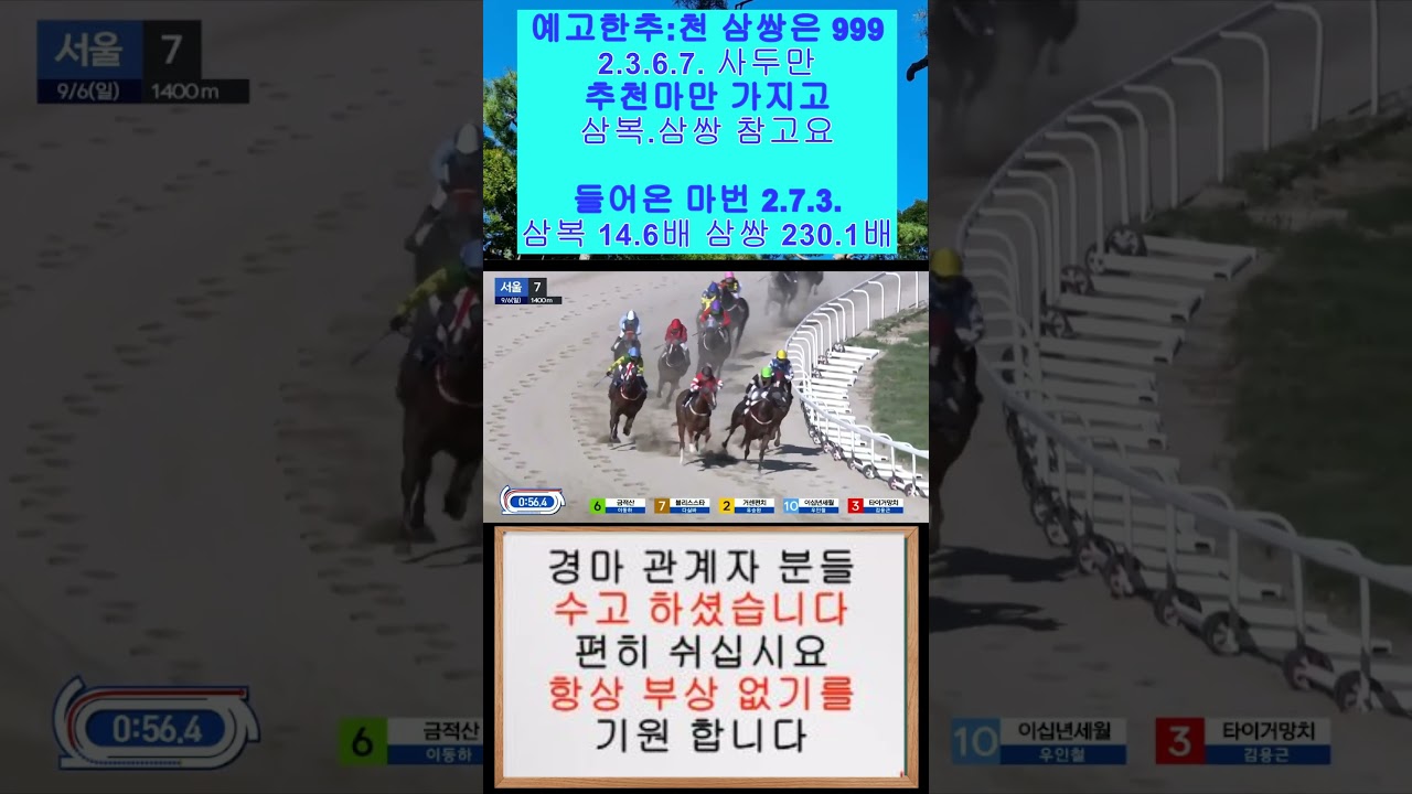 999 삼복.삼쌍.사두만 가지고 참고하면 재밌습니다 영상보기