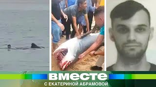Акула съела россиянина за 20 секунд на глазах у семьи. Страшные кадры и подробности трагедии