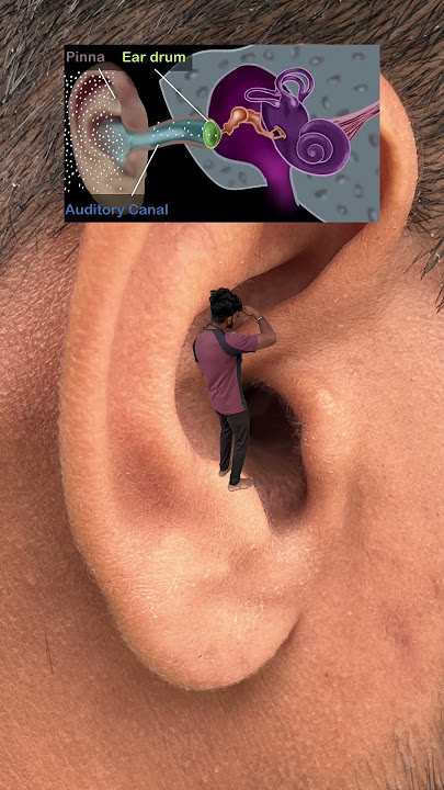 How Earphones Speaker Damage Our Ear #shorts #outofmind