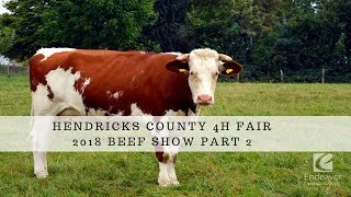 Hendrick's County Fair Beef Show Part 2