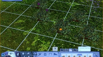 The sims 3 debug cheat