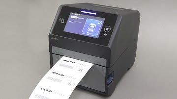 CT4-LX - Continuous print mode