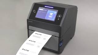 CT4-LX - Continuous print mode
