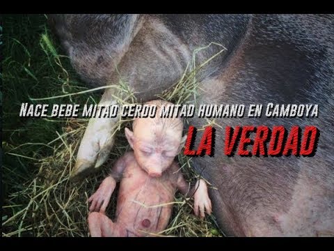 Vídeo: ¡Mitad Hombre, Mitad Cerdo! - Vista Alternativa