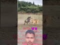 मार दिया 😈👿#shortsvideo#funny  #viralvideo