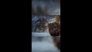Atreus’ first transformation in God of War Ragnarok
#short #youtubeshorts #godofwar #short #shortvideo #godofwarragnarok #kratos #godofwarps5 #atreus #godofwarplaythrough #shortvideo #playstation #kratos #thor #playstation5 playstation plus god of war ragnarok
https://www.instagram.com/the.gameplay.gig/
youtube.com/@TheGameplayGig Atreus’ first transformation in God of War Ragnarok