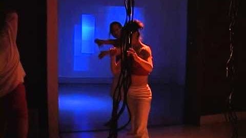 Jane Franklin Dance: Temporal Interference