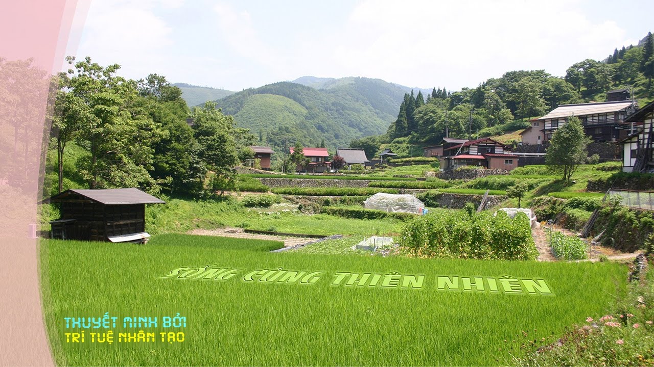 🌾 Satoyama – Vùng Đất Giao Hòa Giữa Con Người Và Thiên Nhiên | Nhật Bản sống xanh
