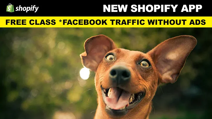 Drive Massive Traffic to Your Shopify Store with Social Boost App