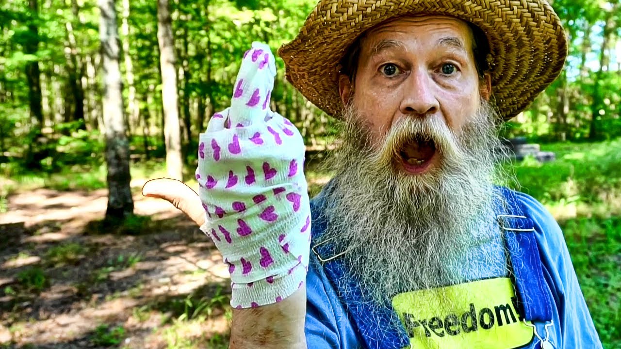 How to Safely Outsmart a Smart Raccoon - YouTube