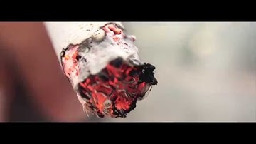 ZFF72 2015 – Nikoteenager