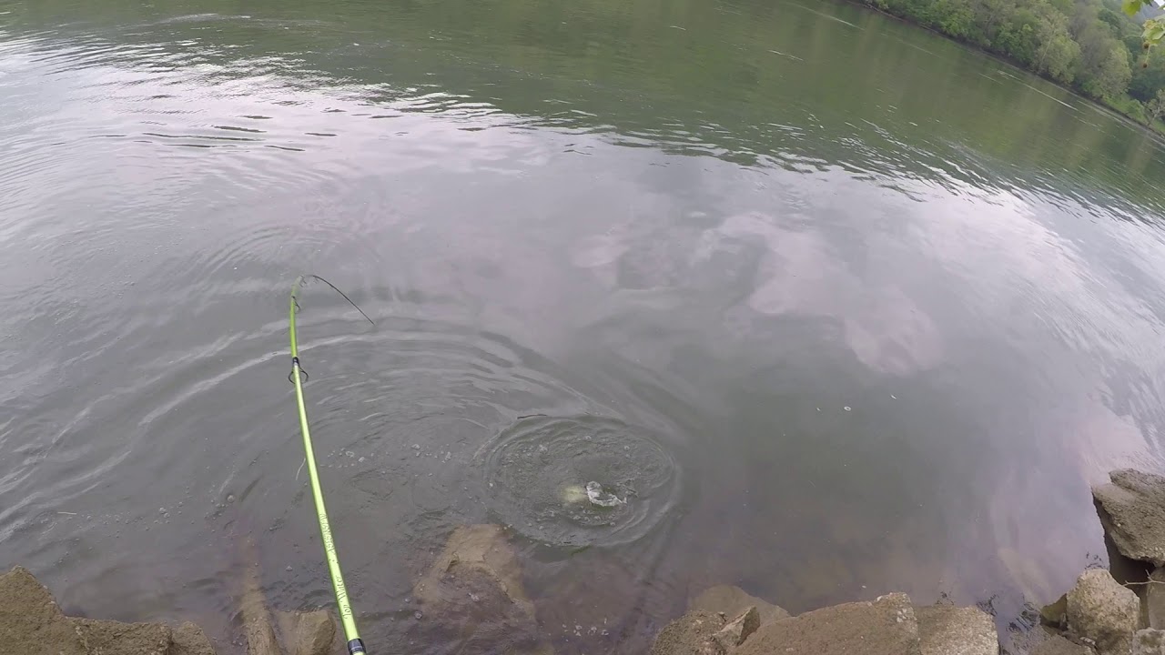 Easter morning bank fishing nickajack lake - YouTube