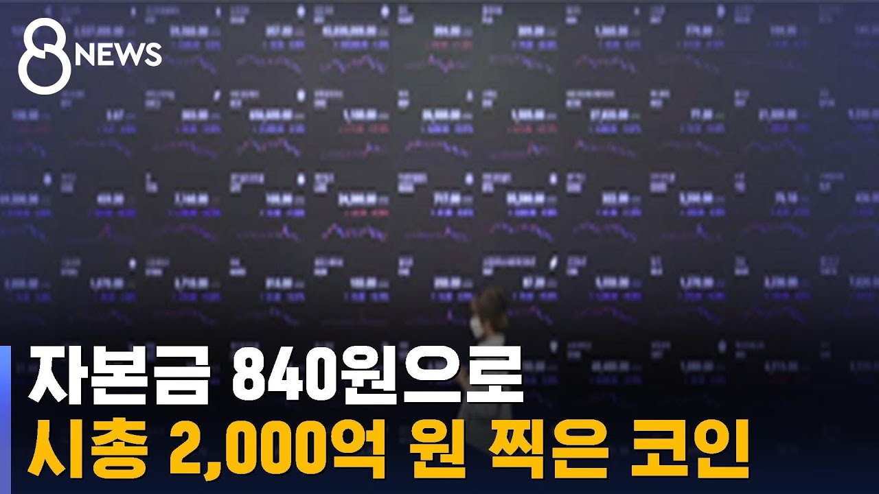 코인 뉴스 속보 Update 자본금 840원으로 시총 2,000억 원 찍은 코인 / SBS