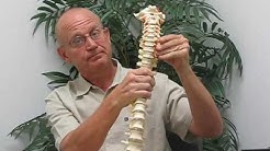 Pinched Nerve Relief Chiropractor St Petersburg Florida 