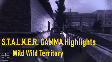 S.T.A.L.K.E.R. GAMMA Highlights - Wild Wild Territory