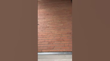 We build too many walls and not enough bridges. - Isaac Newton #doubledkicks #walls #jordan1low