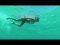 Swimmingsnorkeling in porto santo  featuring charity newman