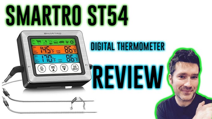 ThermoPro TP20 Thermometer Review: Is It Worth It? - Tested by Bob Vila