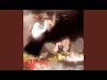 透明人間