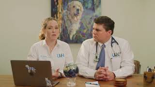 What payment options is there for pet care?