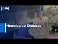 Neurological Diseases by Converting Fibroblasts to NPCs and Astrocytes | Protocol Preview