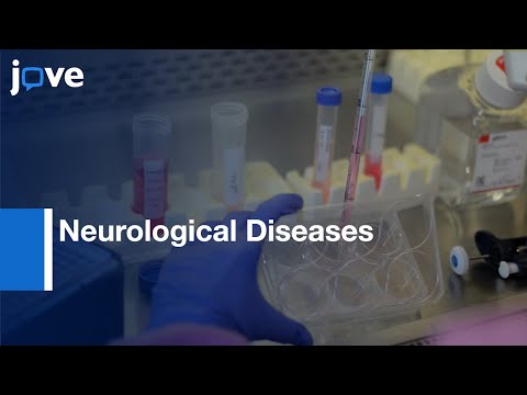 Video: Nová možnosť neurologickej neuterizácie umožňuje jednoduchú sterilizáciu