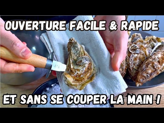 Couteau à huîtres électrique norlac ouvre-huîtres en France