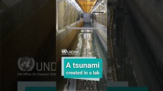Engineers have created a tsunami in a lab | UNDRR