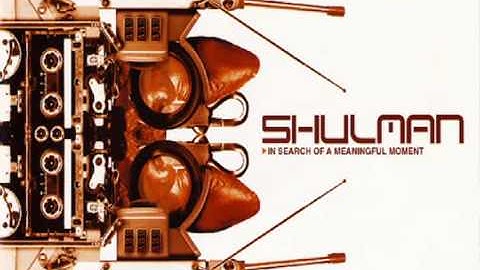 Shulman - A Magnificent Void