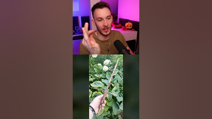VAŠE DÁVKA USPOKOJENÍ #74 😍