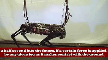 “Blind” Cheetah 3 robot can climb stairs littered with obstacles