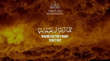 أجمل حالات واتس قرآن || تلاوه مؤثره للقارئ طارق محمد 🌿