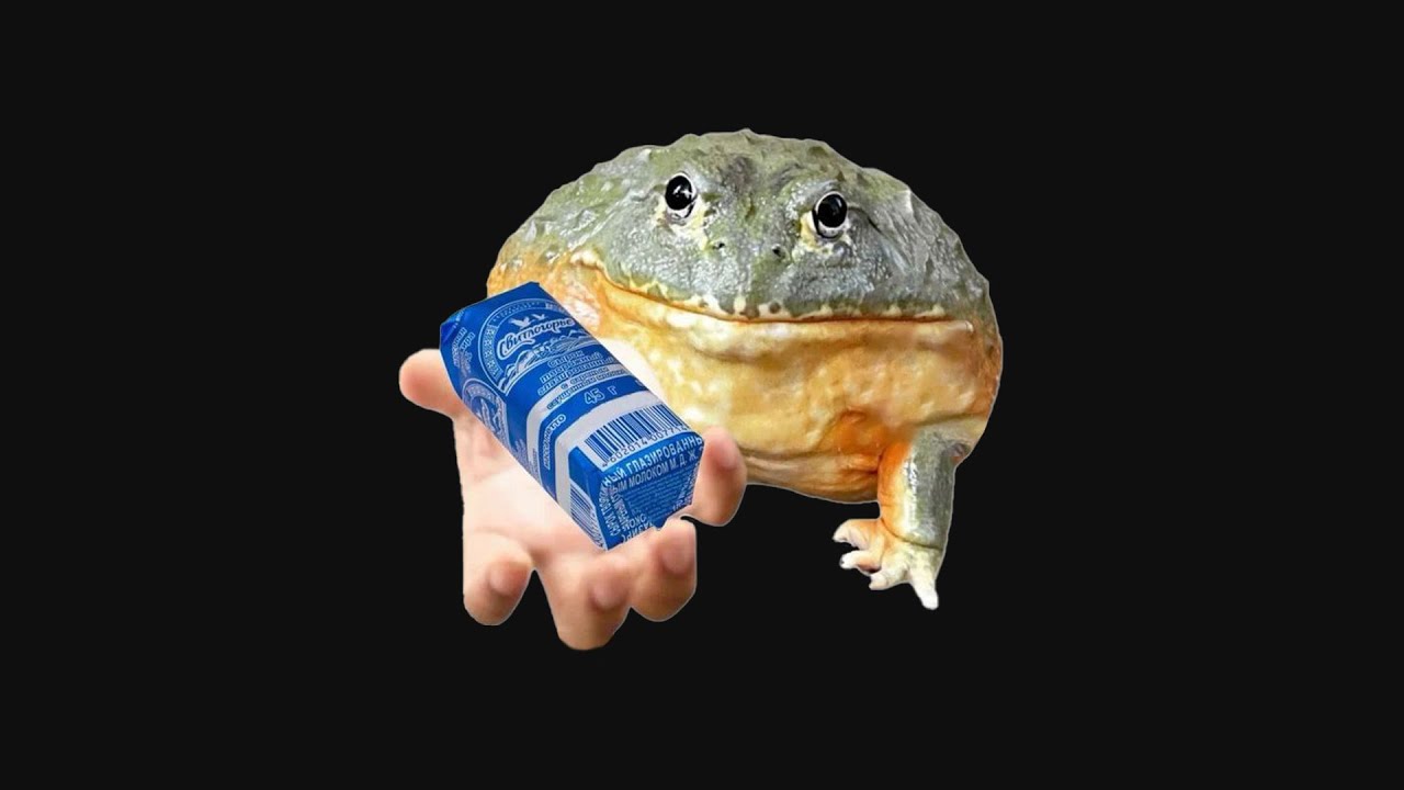 Самый дурацкий созвон в истории