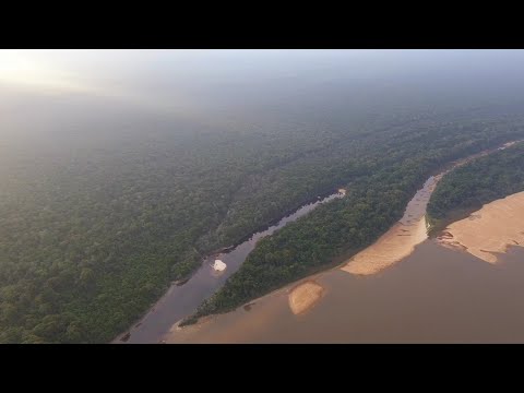 An Awesome View Over The Essequibo River, In Upper Demerara Berbice 😎 🇬🇾 #drone #dji #editing