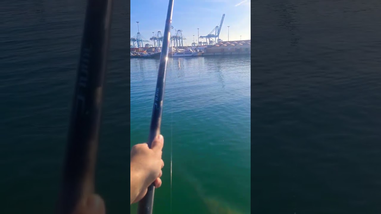 Entrenamiento II Master Andaluz corcheo-mar 