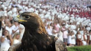 Celebrity Auburn University Drone Shots Net Worth