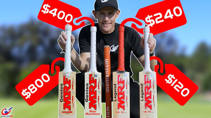 Cheap vs Expensive CRICKET BATS - Can Players tell?